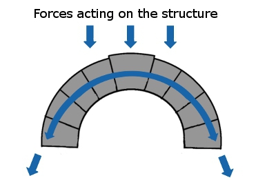 Arch Muscles Forces